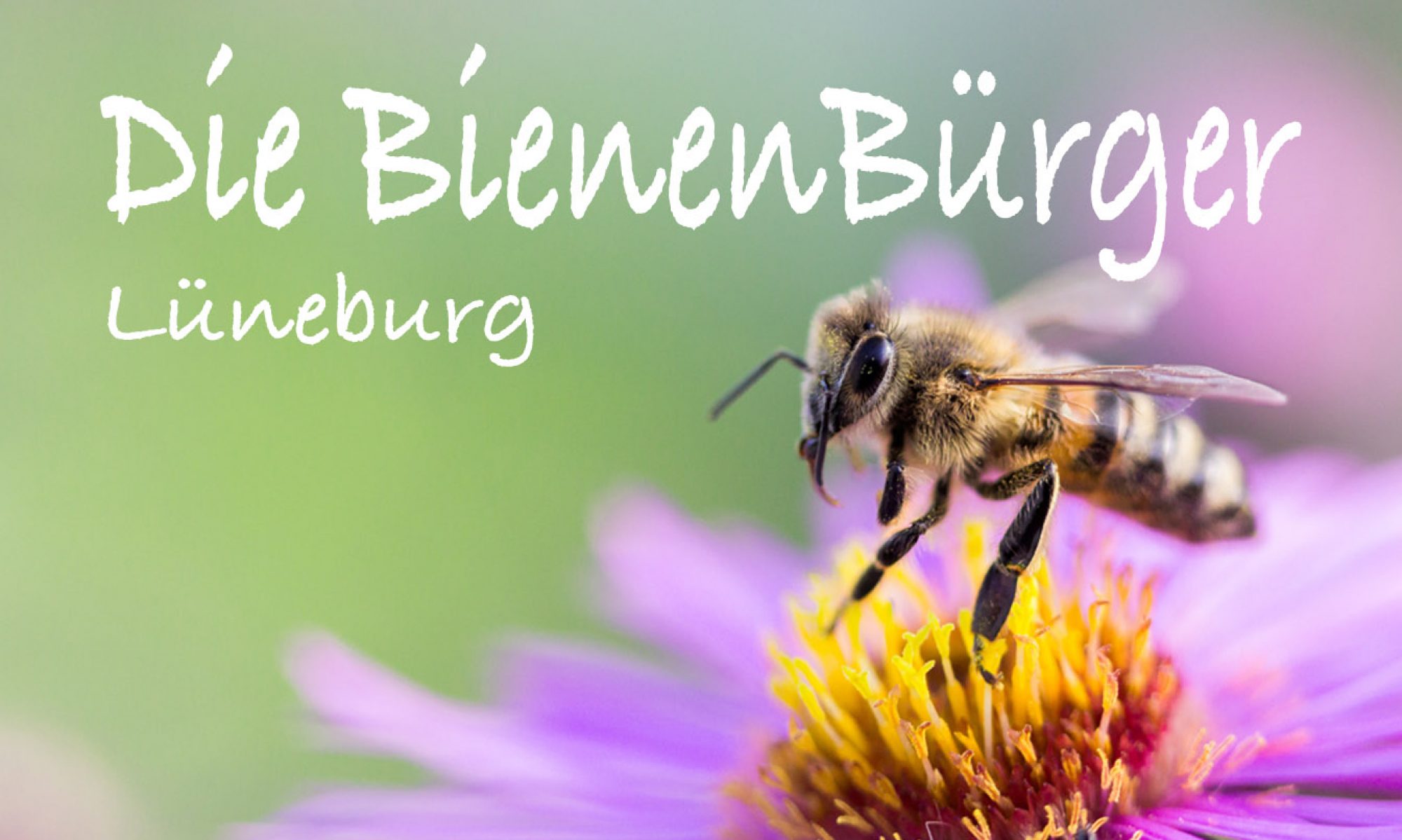 Titelbild BienenBürger Lüneburg